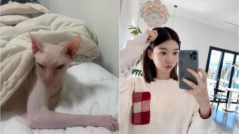 Mendiang kucing penyanyi K-pop Sulli diadopsi oleh aktris Kim Sun-ah